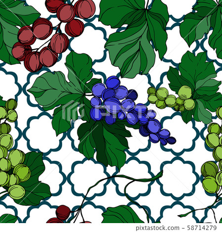 Vector Grape berry healthy food. Black and white engraved ink art. Seamless background pattern. 58714279