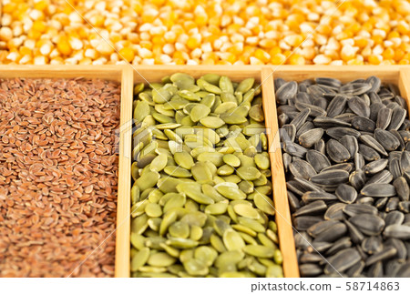 Various kind of seeds Various kind of seeds 58714863
