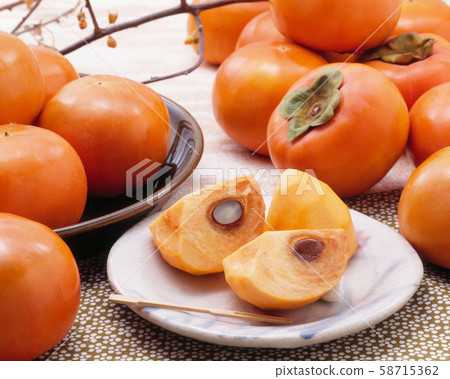 Oyster Oyster 58715362