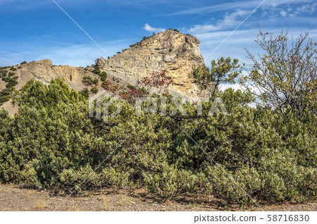 Crimean peninsula, the village of New World 58716830