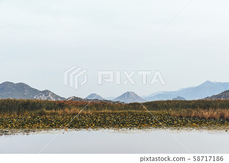 Nature views of Lake Skadar in Montenegro 58717186
