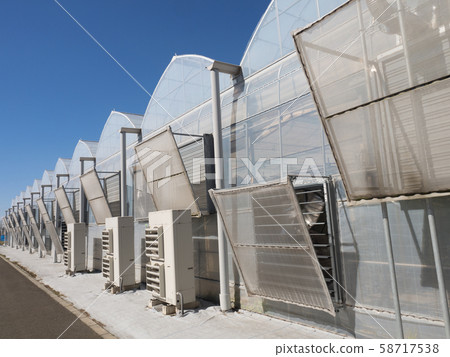Vegetable factory vinyl house 58717538
