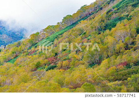 Fall of Tsugaike Plateau 58717741