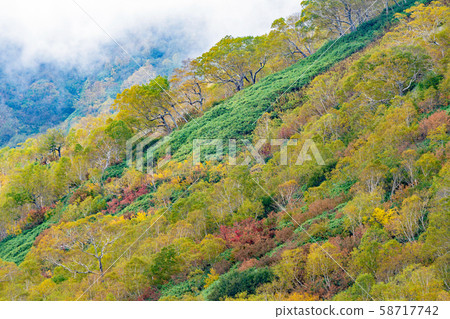 Fall of Tsugaike Plateau 58717742