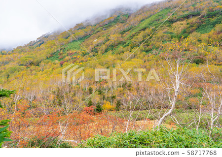 Fall of Tsugaike Plateau 58717768
