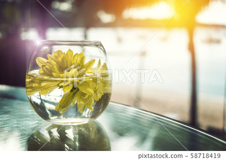 fresh yellow flower floating on the water in short vase with morning light, joyful home decoration fresh yellow flower floating on the water in short vase with morning light, joyful home decoration 58718419