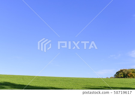Prairie and tree background 58719617
