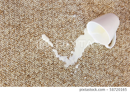 Cup of milk fell on carpet. Stain is on floor. 58720165
