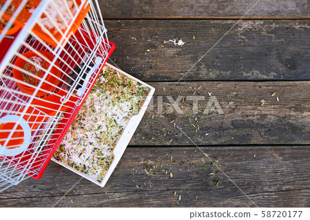 Dirty hamster cage. Concept of caring for pet. Dirty hamster cage. Concept of caring for pet. 58720177