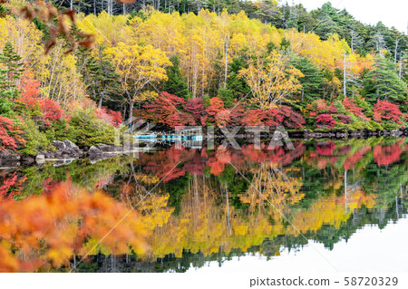 白之池的秋天 58720329