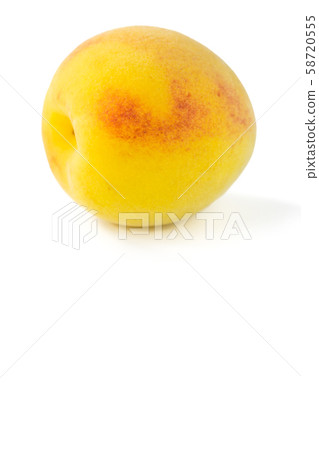 Kishu Minabe Minami Takame (Ripe Ome) 58720555