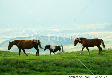 父母和孩子相處融洽 58721245