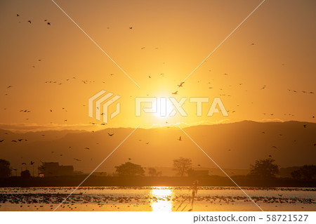 Miyajimanuma, Bibai City in Autumn Sunrise and migratory birds 58721527