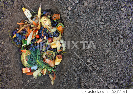 Domestic waste for compost from fruits and 58721611