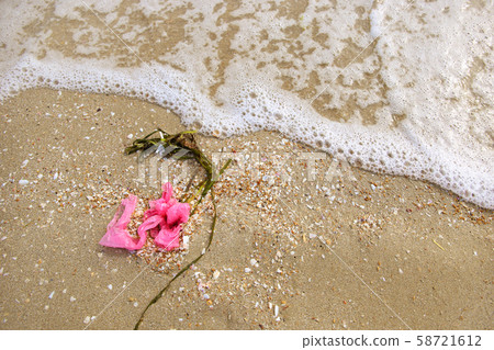 Plastic bag on sea. Concept of environment Plastic bag on sea. Concept of environment 58721612