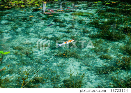 Nameless Pond in Seki City, Gifu Prefecture Nameless Pond in Seki City, Gifu Prefecture 58723134