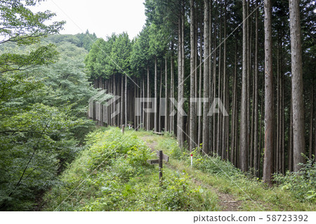 小川口Pass 小川口Pass 58723392