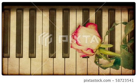 Music background with rose Music background with rose 58723541