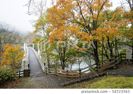 Scenery of autumnal leaves in Kamuikotan, Hokkaido 58723563