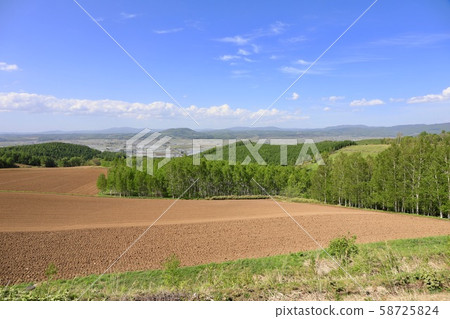 Freshly plowed field in early spring 58725824