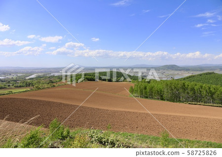 Freshly plowed field in early spring 58725826