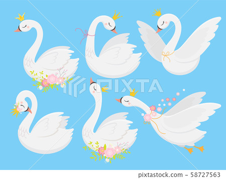 Cute princess swan. Beautiful white swans in gold crown, cartoon goose bird and duckling vector Cute princess swan. Beautiful white swans in gold crown, cartoon goose bird and duckling vector 58727563
