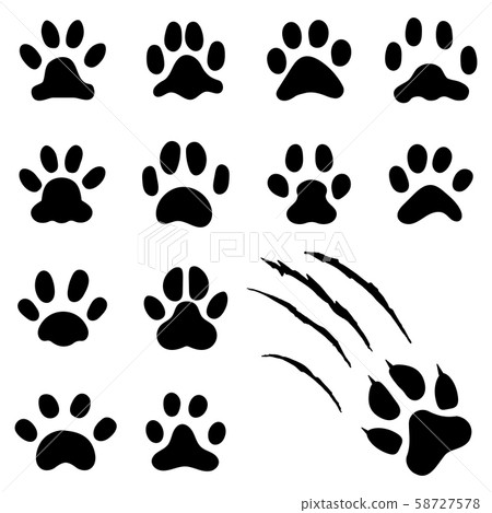 Pets paw footprint. Cat paws prints, kitten foots or dog foot print. Pet rescue logo isolated vector 58727578