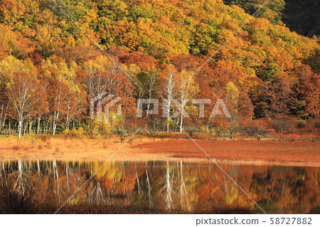 Odashirogahara的秋葉 58727882