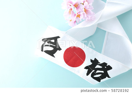Cherry blossom 58728192