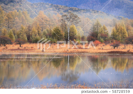 Odashihara在秋天 58728559