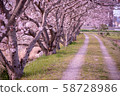 A girl standing alone under a riverside row of cherry trees 58728986