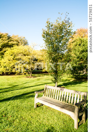 在秋天的落葉開始的公園裡的木凳和樹木 58729851