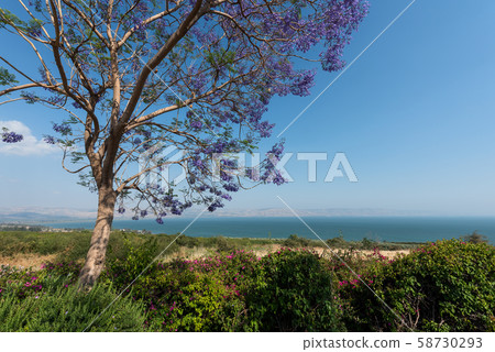 Tiberiade lake Tiberiade lake 58730293