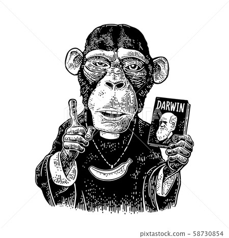 Monkey priest dressed in a cassock with book Monkey priest dressed in a cassock with book 58730854