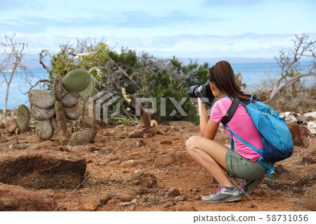 Galapagos tourist taking pictures of Land Iguana eating plant on North Seymour 58731056