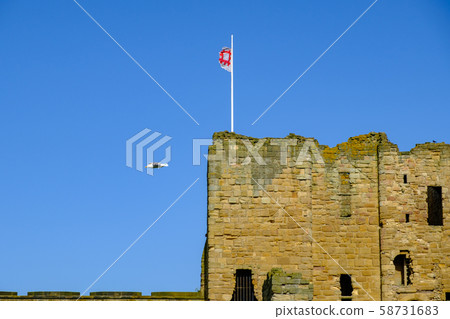 Seagull flying above the Medieval Tynemouth Priory and Castle in the United Kingdom 58731683