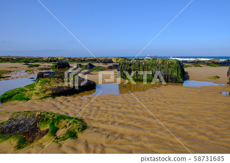 Tynemouth Long Sands on the North East Coast of England pictured on a warm summer day. This is a very popular beach throughout the year. Tynemouth Long Sands on the North East Coast of England pictured on a warm summer day. This is a very popular beach throughout the year. 58731685
