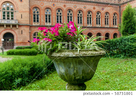 Chernivtsi National University 58731801