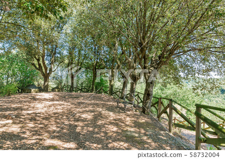 Montopoli castle hill. Tuscany, Italy. Montopoli castle hill. Tuscany, Italy. 58732004