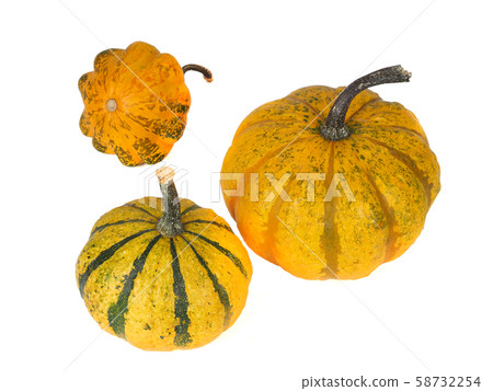 Three yellow pumpkins isolated on white Three yellow pumpkins isolated on white 58732254