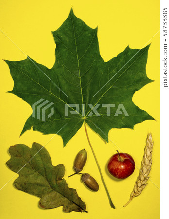 Symbols of the autumn season of the year. Items that autumn is associated with. 58733385