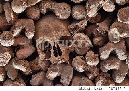 Skulls and bones in a wall 58733541