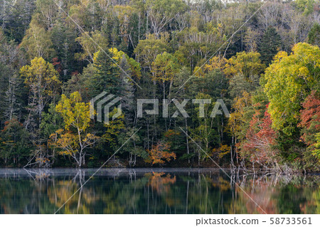 Onneto秋葉 Onneto秋葉 58733561