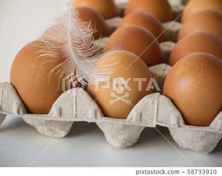Skull and crossbones stamp on eggs Skull and crossbones stamp on eggs 58733910