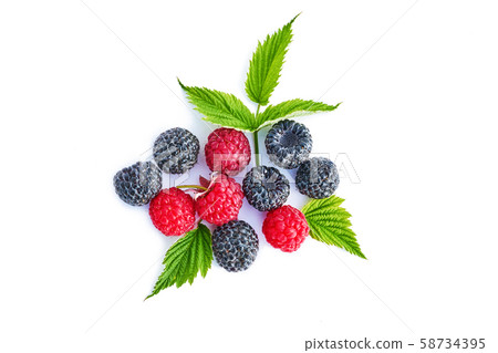Mix berries with leaf. Various fresh berries isolated on white background. Raspberry, Blackberry. Mix berries with leaf. Various fresh berries isolated on white background. Raspberry, Blackberry. 58734395