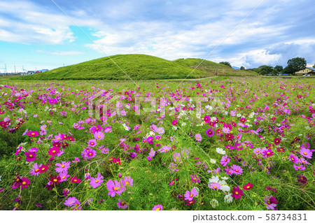 秋天的櫻桃田和古墓 58734831