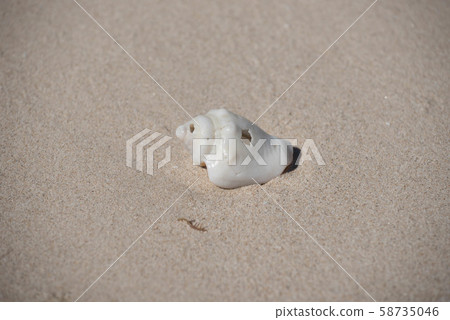 Caribbean calm afternoon Caribbean calm afternoon 58735046