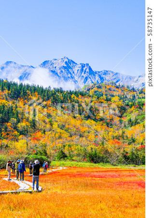 Tsugaike Nature Park (Autumn) 58735147