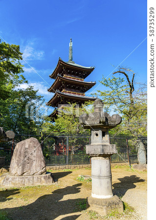 [東京]上野東照宮 58735299