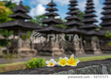 Bali's world heritage Merman of Taman Ayun Temple, Bali's leading flower, Frangipani Plumeria Bali's world heritage Merman of Taman Ayun Temple, Bali's leading flower, Frangipani Plumeria 58737373